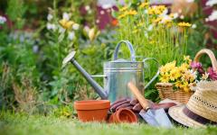 Ristrutturazione Giardino: hai considerato questi prodotti?